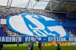 7 Fussballl Schalke fans.webp