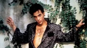 !! prince.webp