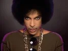 !!1 prince.webp