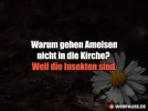 8 in sekten.webp