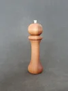 DSCN2880.webp