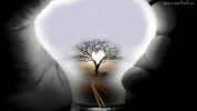 !! Herzbildlampte.webp