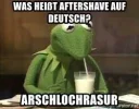!! arschlochrasr.webp