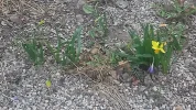 20210316_153615.webp