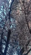 20210316_171217.webp