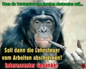 tf505fa45106a_b8ec4df499a2b3d673c736795b4a9abf--humor-.webp