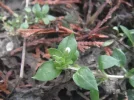 DSCF8051.webp