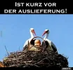 ! Lieferung.webp