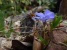 P1030970.webp