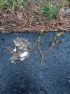IMG-20210313-WA0001.webp