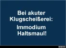 Klugscheisserei.webp