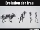 Evolution der Frau.webp