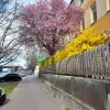 20210404_103746.webp