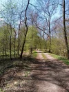 IMG-20210330-WA0011.webp