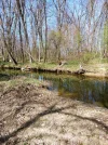 IMG-20210330-WA0008.webp