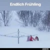 ! Fühling.webp