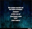 !  palme.webp