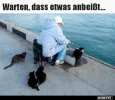 ! Warten.webp