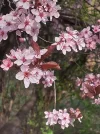 20210409_164142.webp