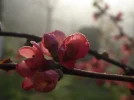 P1020516.webp