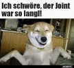 ! a hund joint.webp
