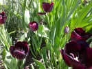 20190422_123659.webp
