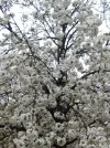IMG_20210421_195702_6.webp