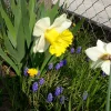 20210422_152236.webp