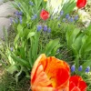 20210422_152208.webp