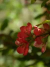 P1040290.webp