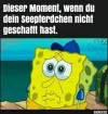 ! sponge fische.webp