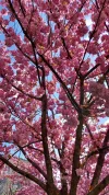20210423_102206.webp