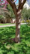 20210423_102318   1.webp