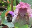 IMG_4699 (3).webp