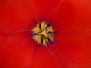 P1040020.webp