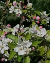 IMG-20210425-WA0011 (2).webp