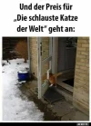 ! schlau.webp