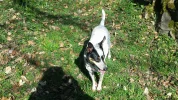 20210330_144243.webp