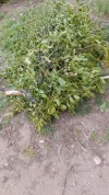 20210502_152929  1.webp