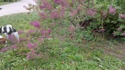 20210502_153759  1.webp