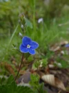 P1040453.webp