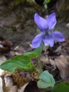 P1040444.webp