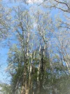 IMG_4863 (2).webp
