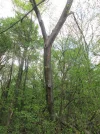 IMG_4715 (2).webp
