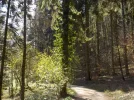 DSCN4348.webp
