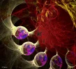 FABERGE 10022021_4.webp