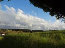 DSC01407.webp