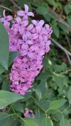 20210510_154415.webp