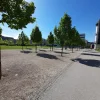 20210510_094307.webp