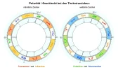 Tierkreiszeichen-Polaritaeten_bearb.jpg